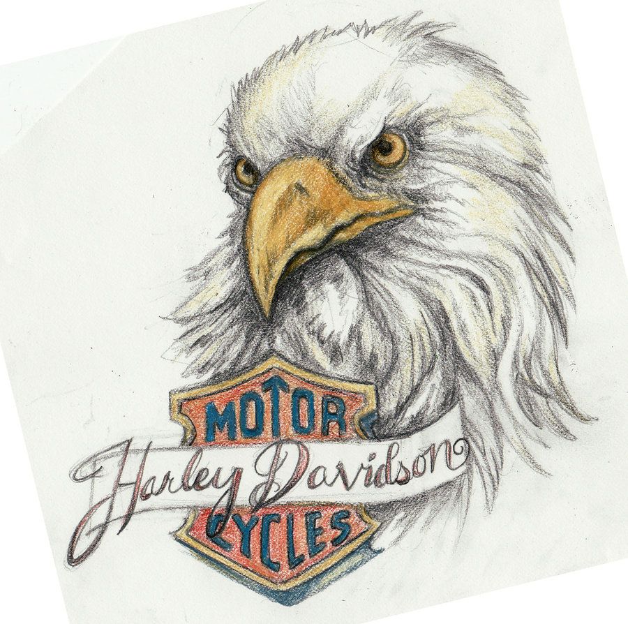 Tatuajes de Harley Davidson 14