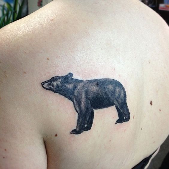 Tatuaje de oso negro realista en el lado izquierdo de la espalda