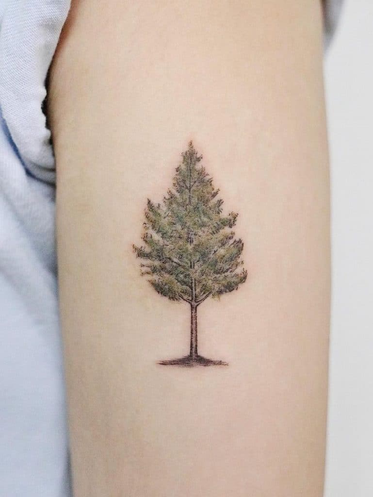 Tatuaje de árbol de cedro