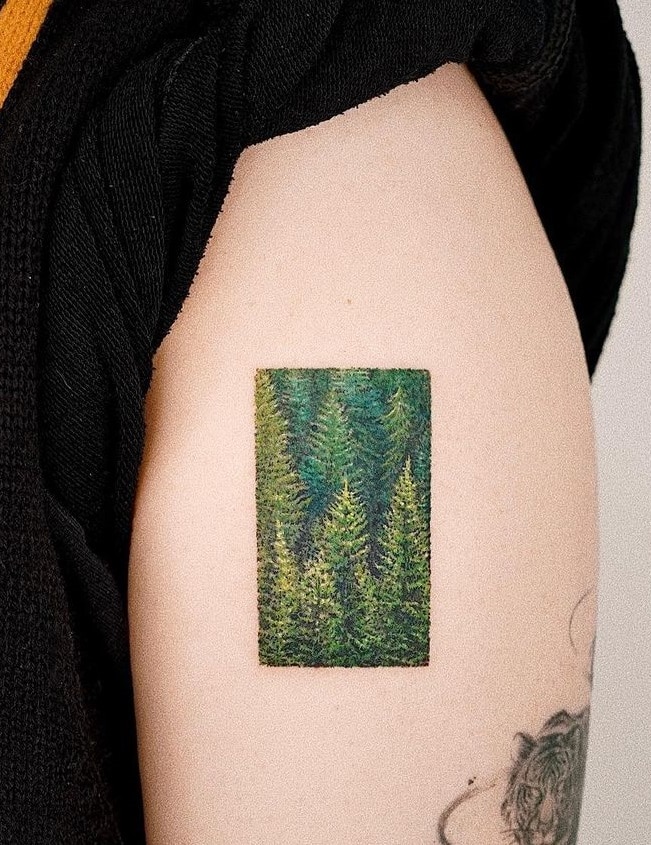 Bosque Tatuaje