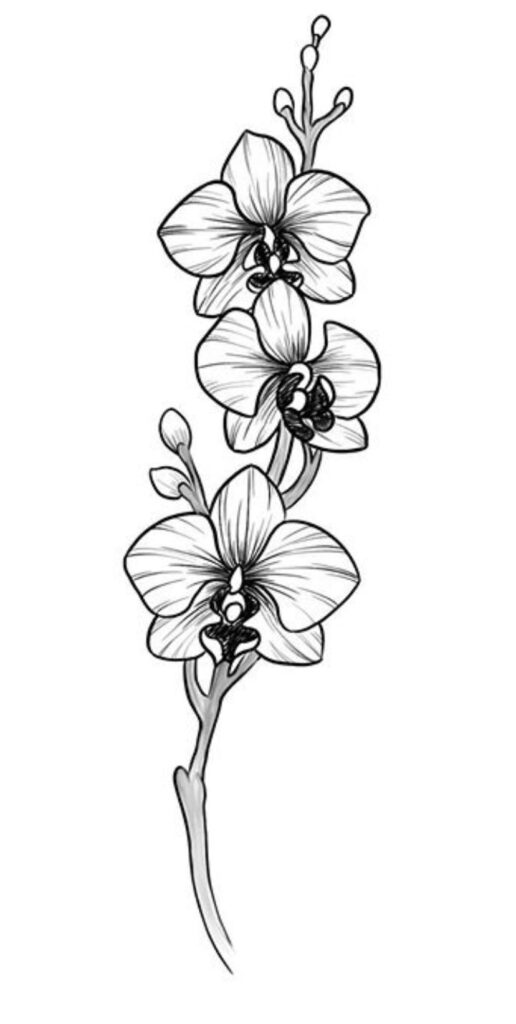 tatuaje de orquidea 136