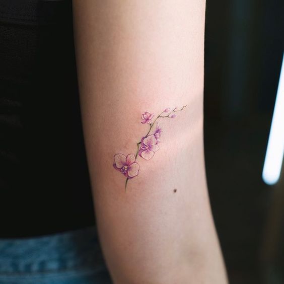 tatuaje de orquidea 164