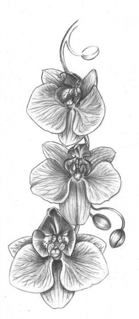tatuaje de orquidea 44