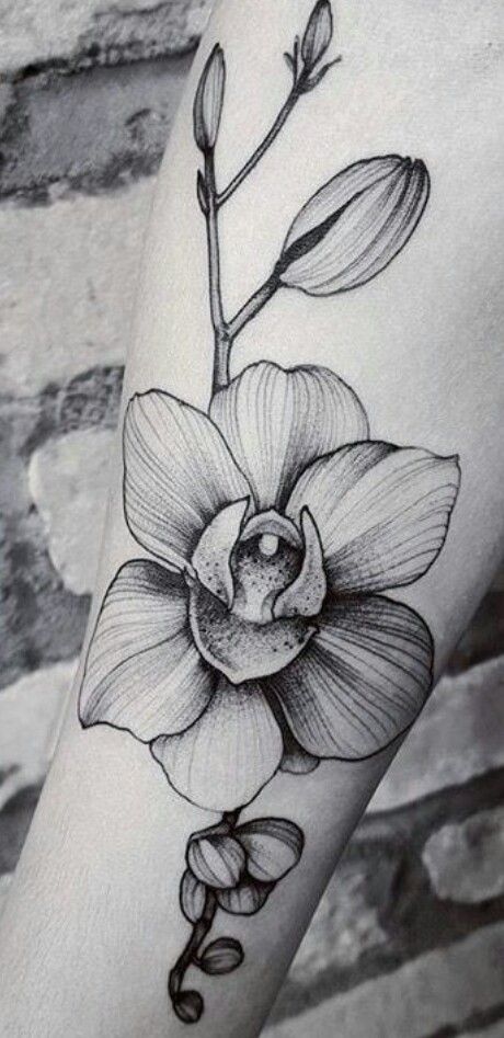 tatuaje de orquidea 50