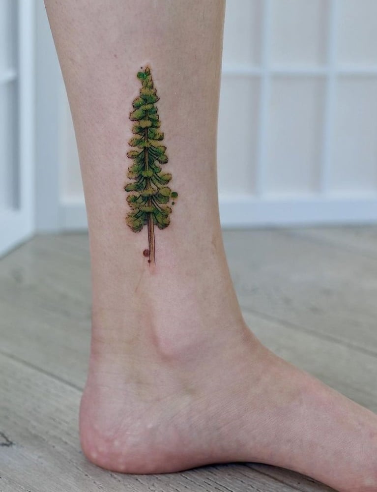 Tatuaje de árbol de secoya
