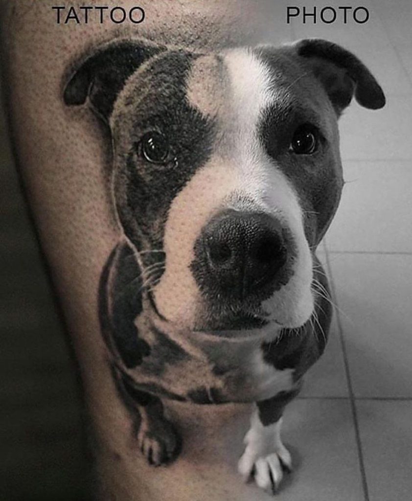 Pitbull tatuaje 139