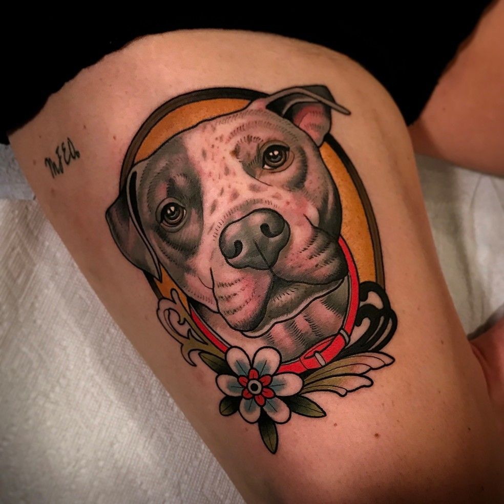 Pitbull tatuaje 50