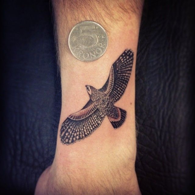 Tatuaje de halcón 2