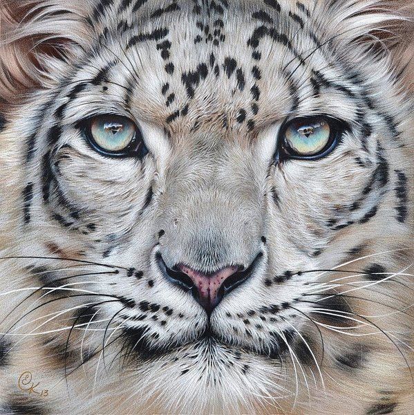 Tatuaje de leopardo de las nieves 144