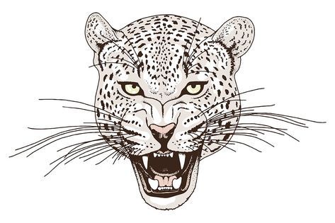 Tatuaje de leopardo de las nieves 151