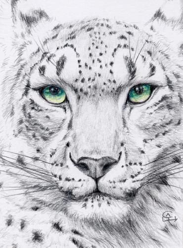 Tatuaje de leopardo de las nieves 9