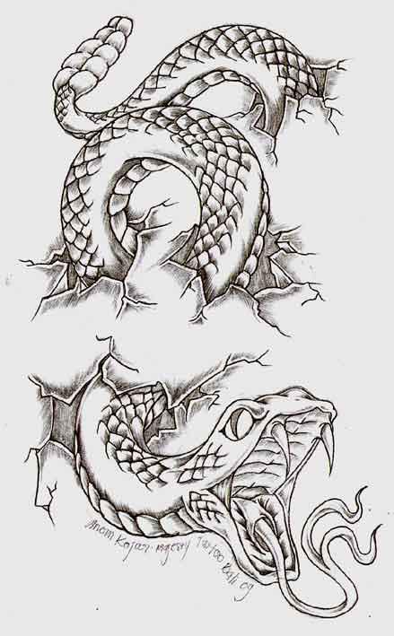tatuajes de cobras 158