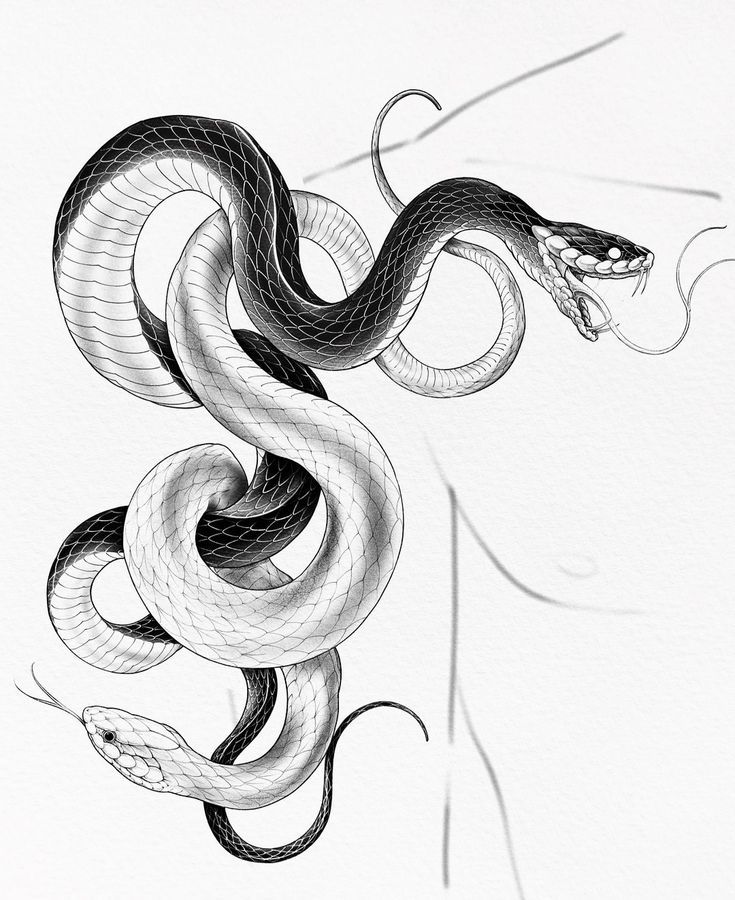 tatuajes de cobras 28