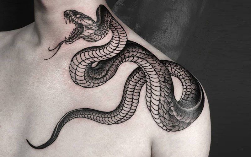 tatuajes de cobras 33
