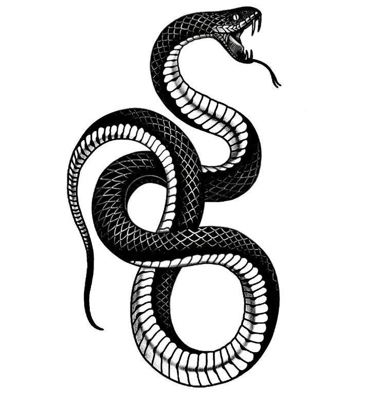 tatuajes de cobras 99