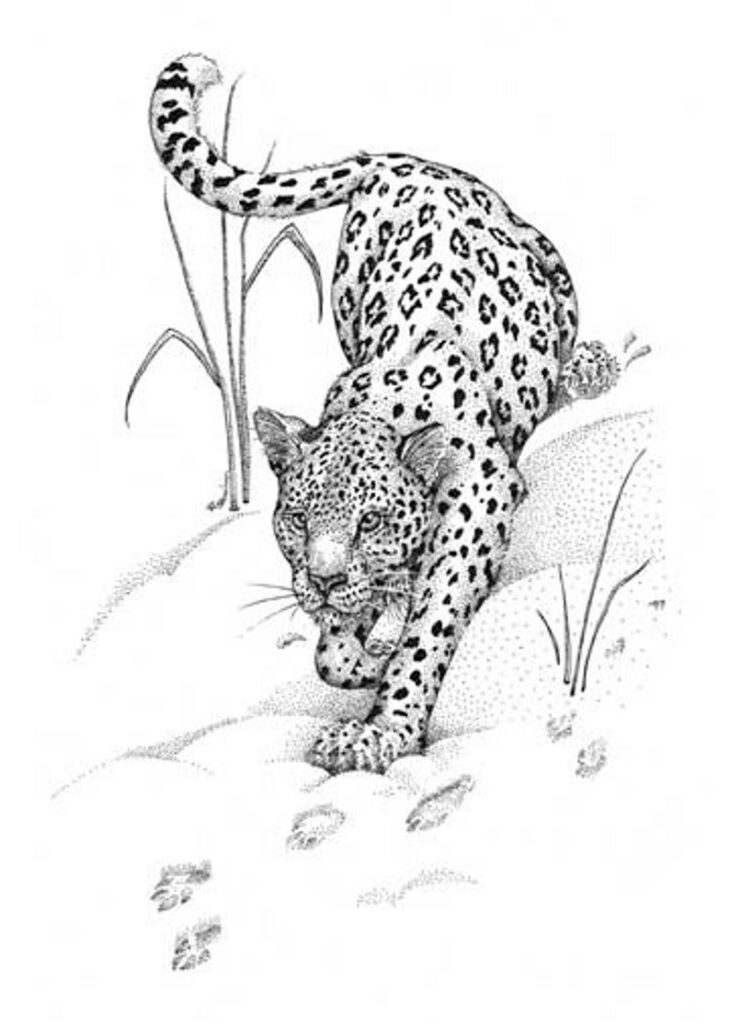 Tatuajes de jaguares 77