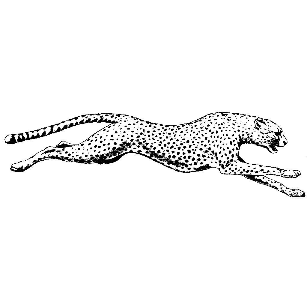 tatuaje de guepardo 60